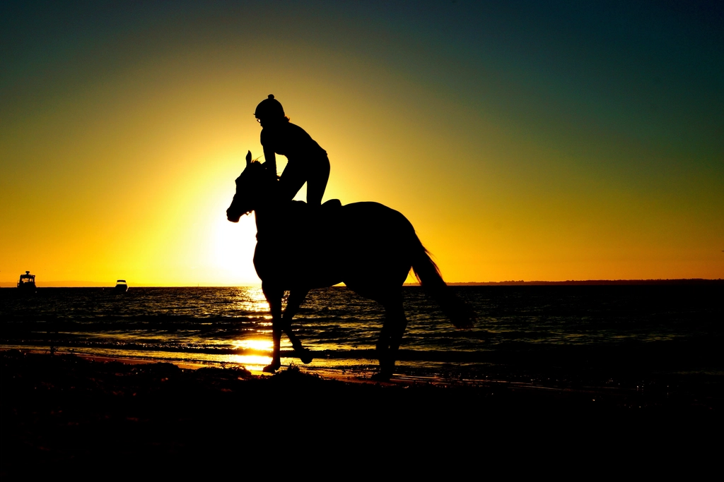 Cavalier au galop en silhouette au coucher du soleil